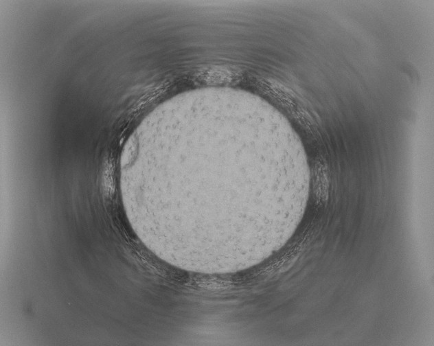 X0000115440962200912161451