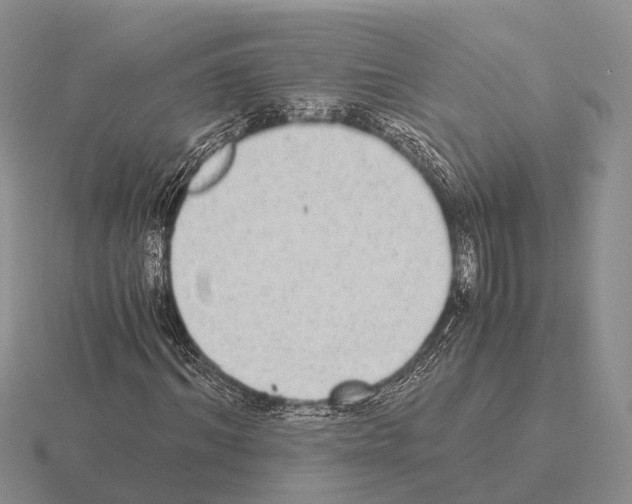 X0000115440964200912161451