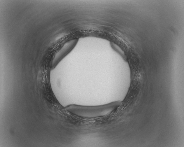 X0000115440965200912161451