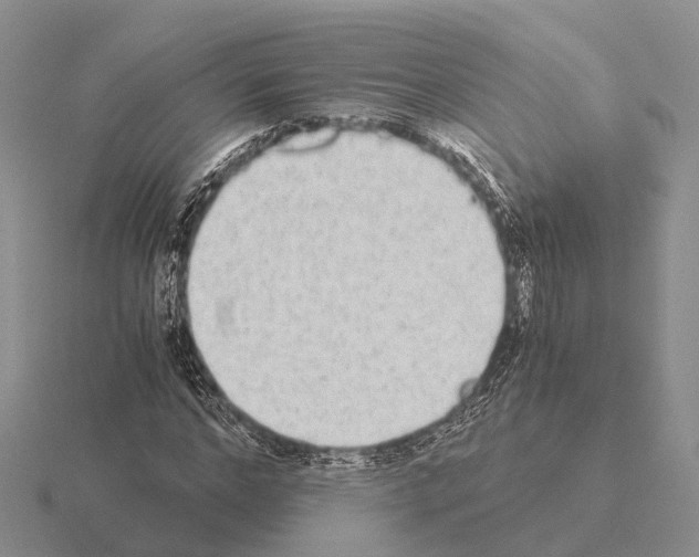 X0000115440968200912161451