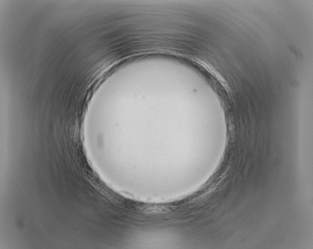 X0000115440969200912161451