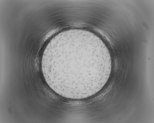 X0000115440970200912161451