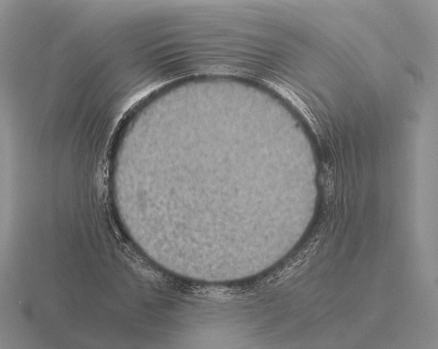 X0000115440971200912161451