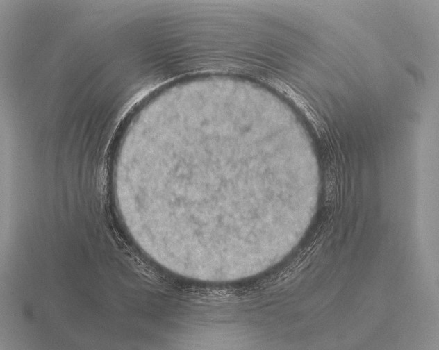 X0000115440975200912161451