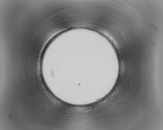 X0000115440976200912161451