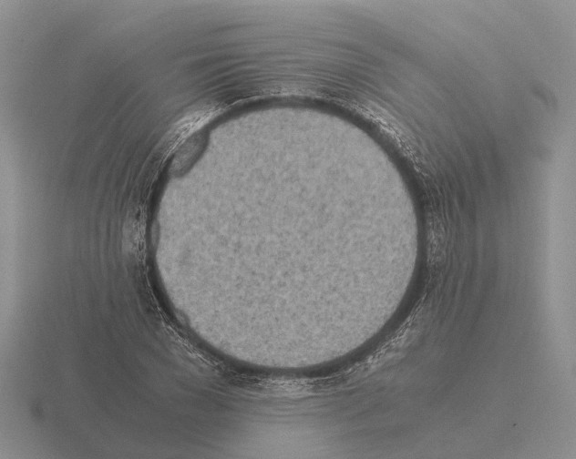 X0000115440977200912161451