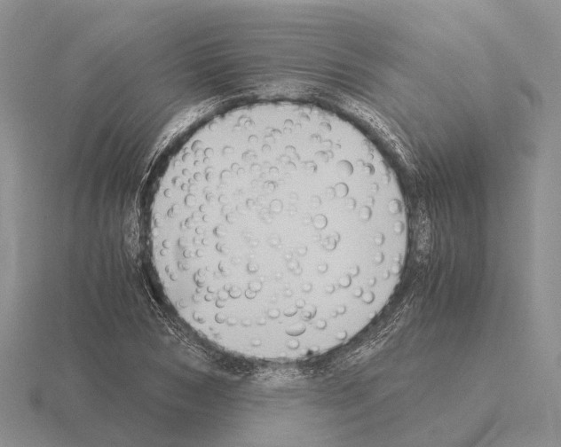 X0000115440978200912161451