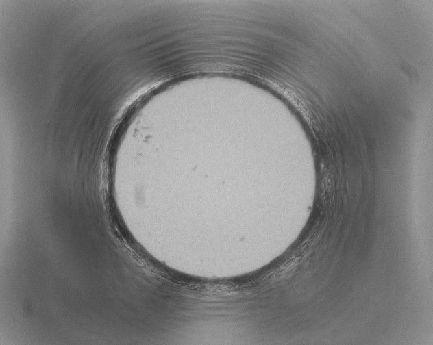 X0000115440979200912161451