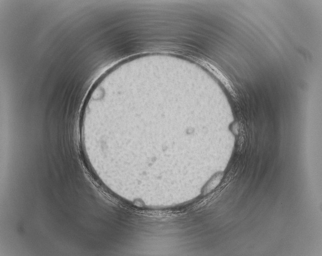 X0000115440980200912161451