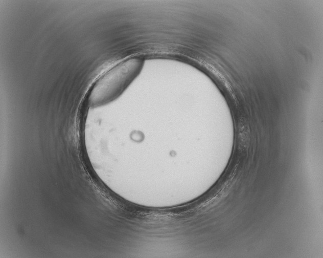 X0000115440981200912161451