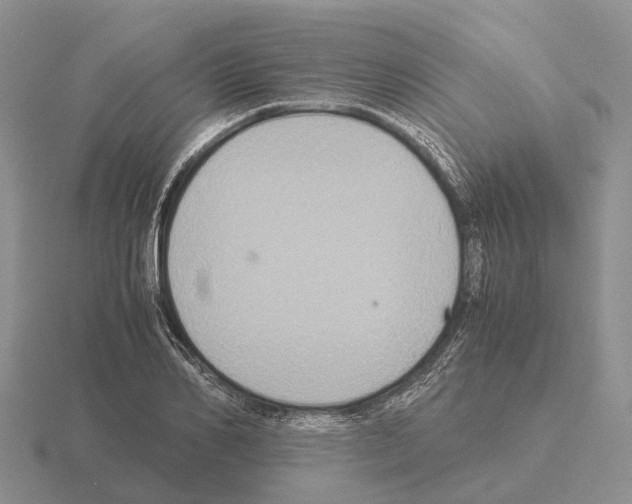 X0000115440982200912161451