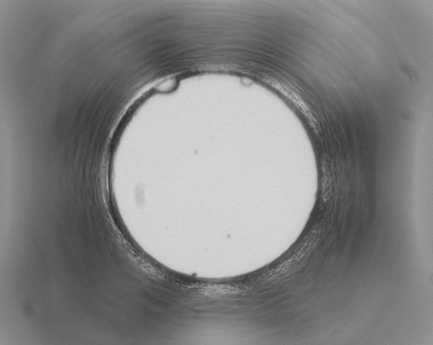 X0000115440984200912161451