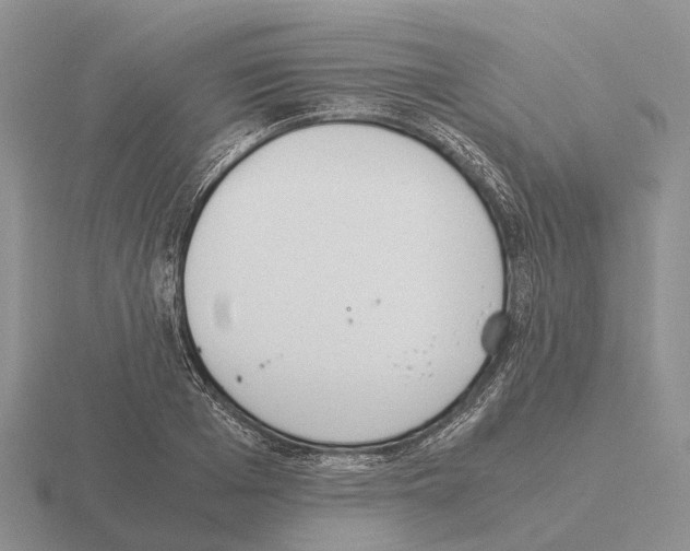 X0000115440985200912161451