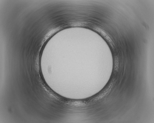 X0000115440986200912161451