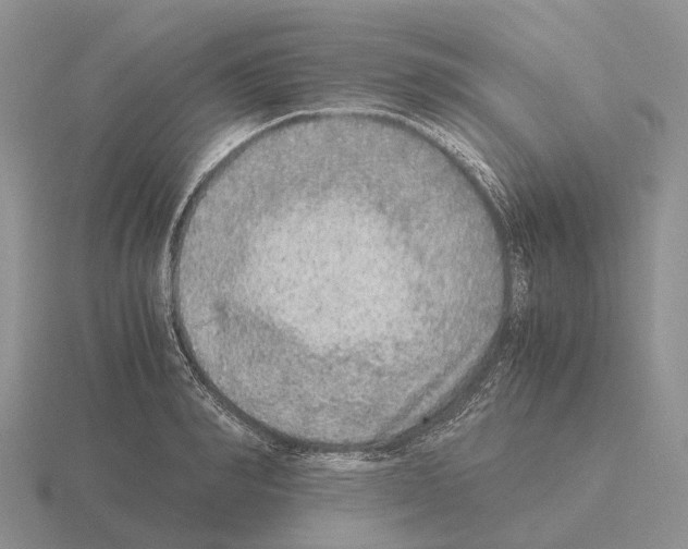 X0000115440990200912161451