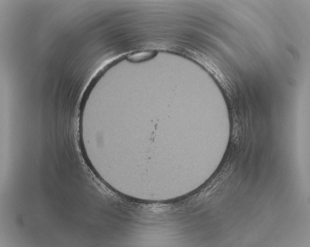 X0000115440992200912161451