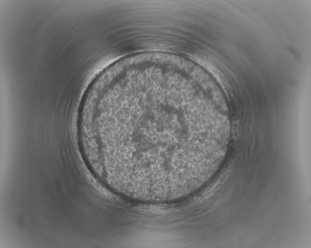 X0000115440995200912161451