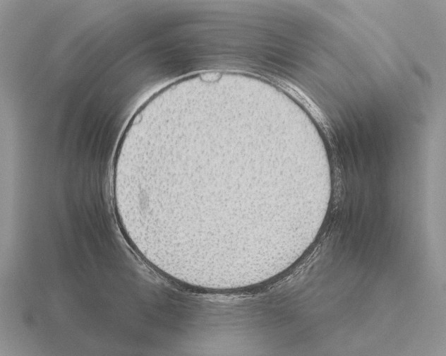 X0000115440996200912161451