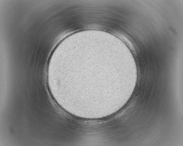 X0000115441000200912161451