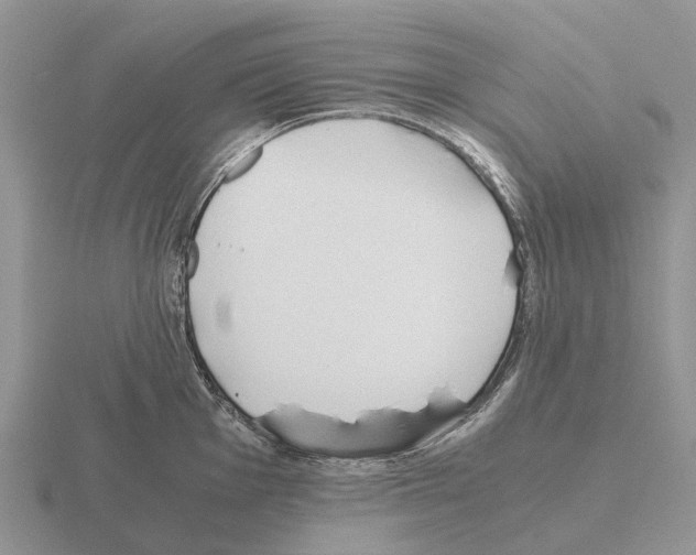 X0000115441001200912161451