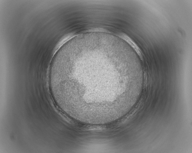 X0000115441002200912161451