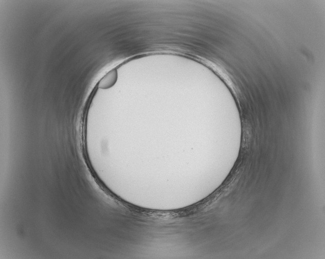 X0000115441003200912161451