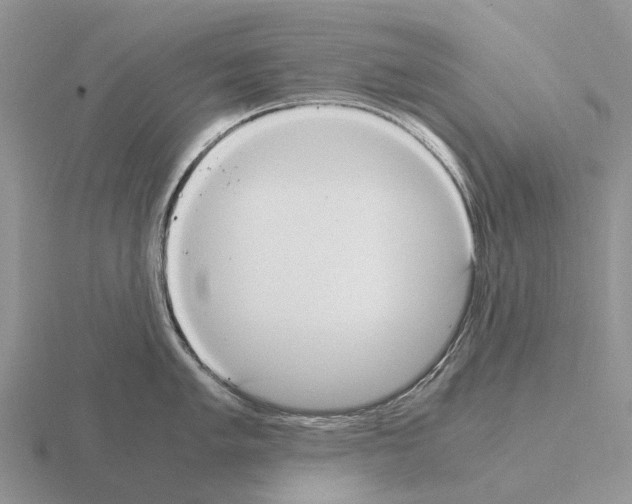 X0000115441005200912161451