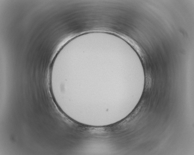 X0000115441006200912161450