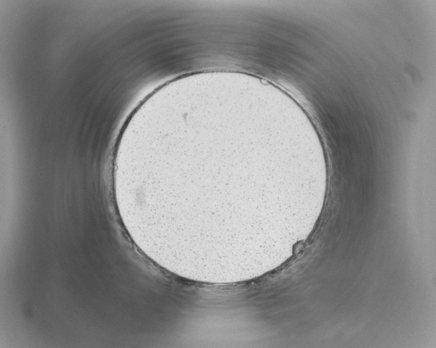 X0000115441008200912161450