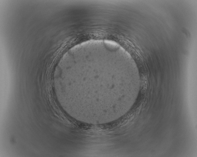 X0000115441009200912161450