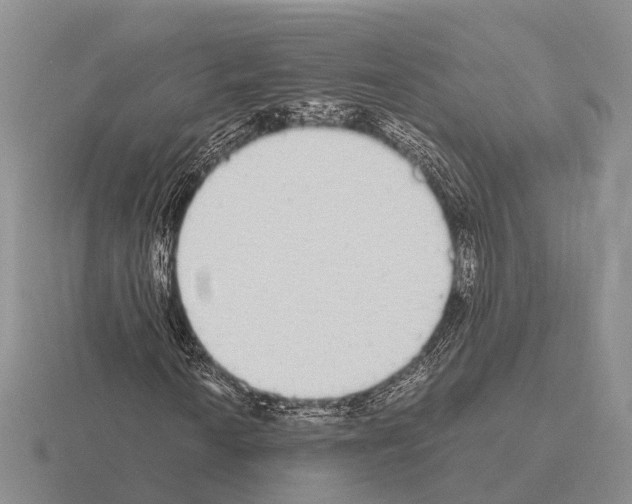 X0000115441010200912161450