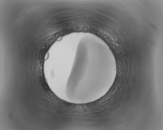 X0000115441013200912161450