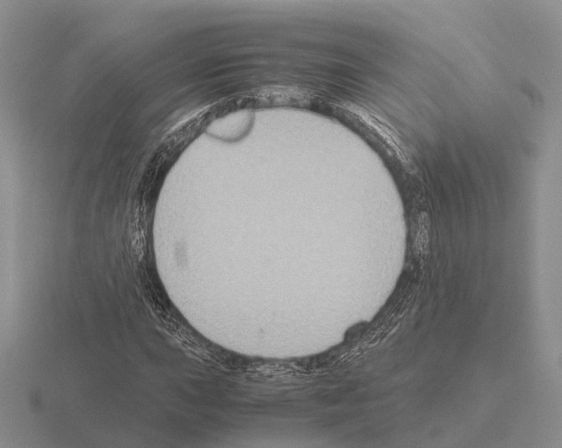 X0000115441015200912161450