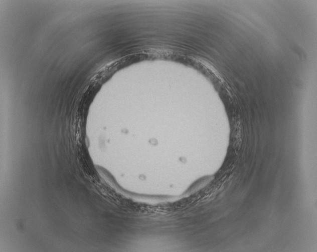 X0000115441016200912161450