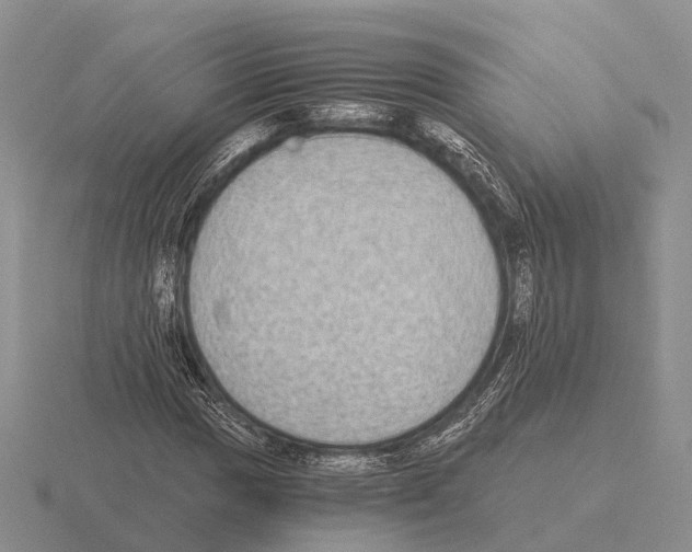 X0000115441017200912161450