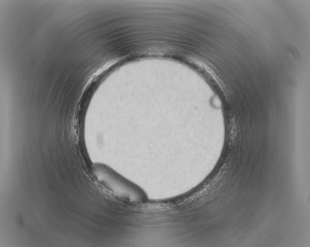 X0000115441018200912161450