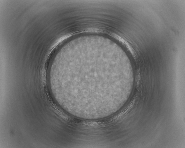 X0000115441019200912161450