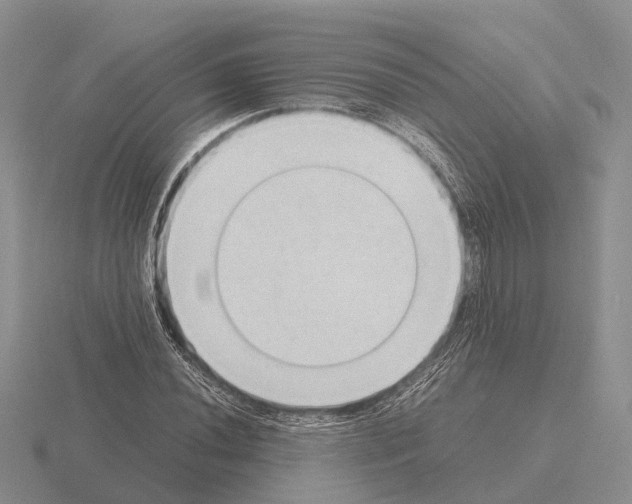 X0000115441020200912161450