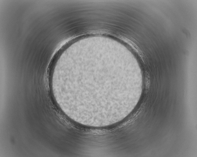 X0000115441022200912161450