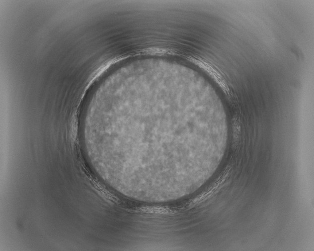 X0000115441023200912161450