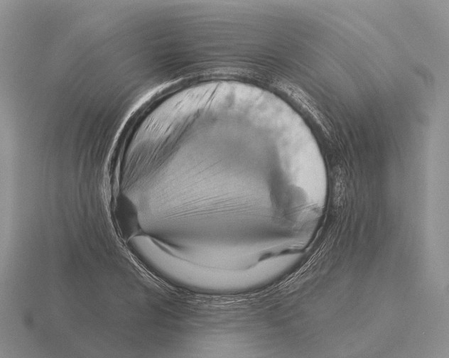 X0000115441024200912161450