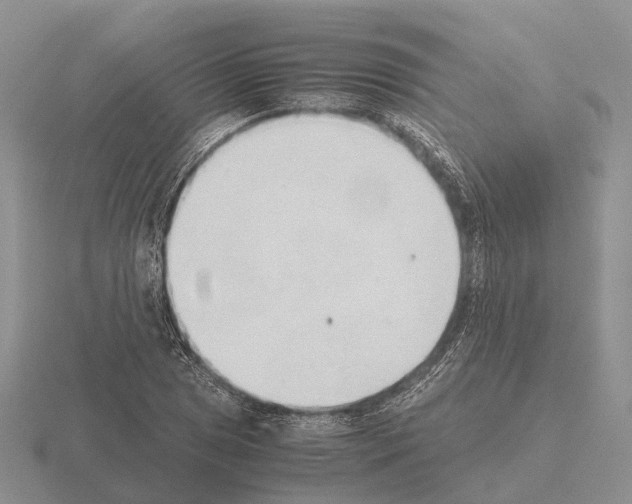 X0000115441025200912161450