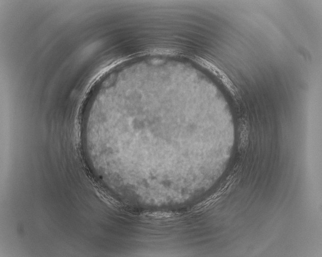 X0000115441027200912161450