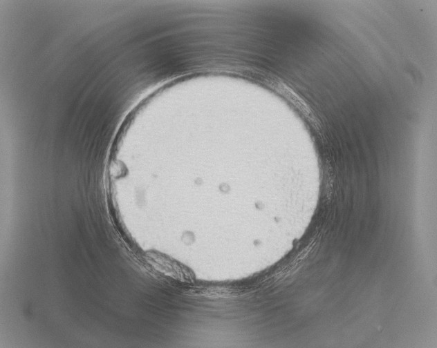 X0000115441028200912161450