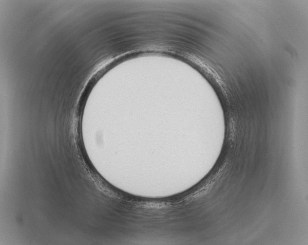 X0000115441029200912161450