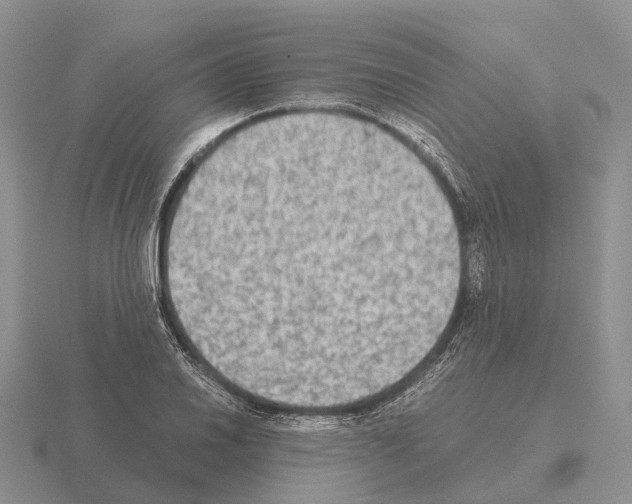 X0000115441030200912161450