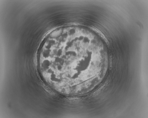 X0000115441031200912161450