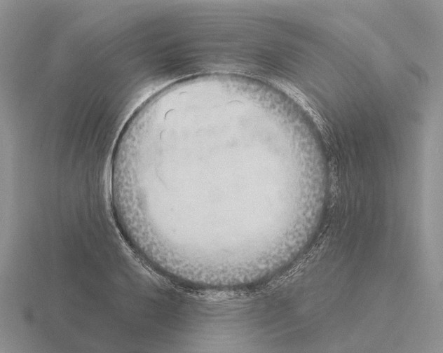 X0000115441032200912161450