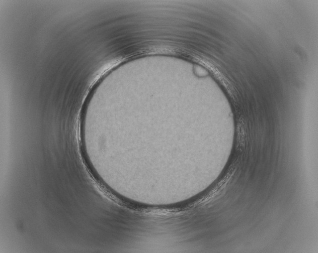 X0000115441034200912161450