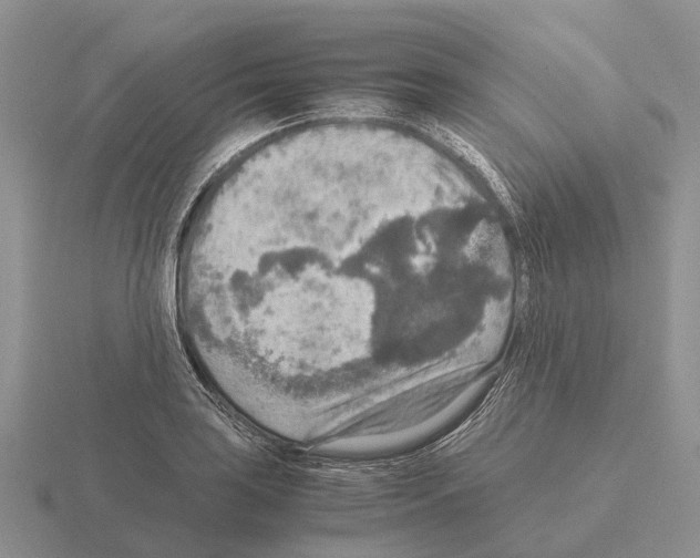 X0000115441035200912161450